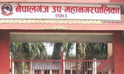 नेपालगन्जको बजेट र नीति तथा कार्यक्रम पारित