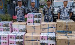 शंकास्पद बिलबिजक भएको १७ लाख भन्दा बढीको ईलेक्ट्रोनिक सामान बरामद