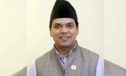 संसदीय टोली न्यूयोर्कतर्फ