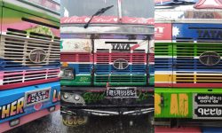 बिलविजकमा उल्लेख भए भन्दा बढि सामान भएको तीन वटा ट्रक नियन्त्रणमा