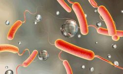 पानीजन्य राेगहरू कसरी फैलिन्छन् ?