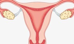 पाठेघरको क्यान्सर !