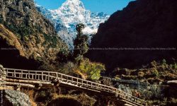 फाक्दिङको क्यान्टीलिभर पुल