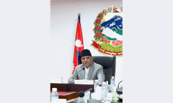 डिजिटल साक्षरता विद्यालयको पाठ्यक्रममा समावेश गर्न आवश्यक : प्रधानमन्त्री