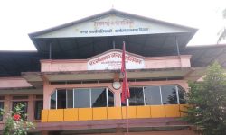 ‘गोठमा भेटेरिनरी खेतमा कृषि प्राविधिक’