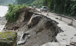 सडक भत्किँदा उत्पादित तरकारी खेतमै कुहिँदै
