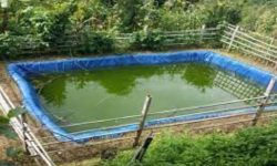 हिउँदे सिँचाइका लागि पानी सङ्कलन