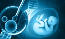 निःसन्तान दम्पतीलाई बरदान बनेको प्रसूतिगृह, कम खर्चमा टेस्ट ट्युब बेबी