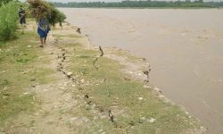 कर्णालीको बाढीले टीकापुर र जानकीमा कटान