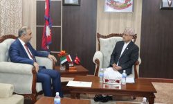 रक्षामन्त्री र युएईका राजदूतबीच शिष्टाचार भेट