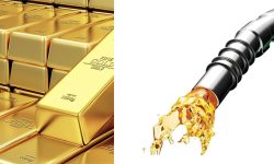 साताका यी खबर, पढ्न छुटाउनु भयो कि ?