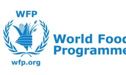 रोशीका बाह्र सय विपद् प्रभावितलाई आर्थिक सहयोग