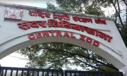 चिडियाखानाको आम्दानी  १७ करोड ७५ लाख