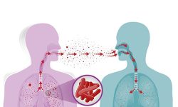 अब क्षयरोगसम्बन्धी बिरामीको अवस्था र ठोस तथ्यांक उपलब्ध हुने