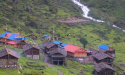 साताका सात तस्बिर !