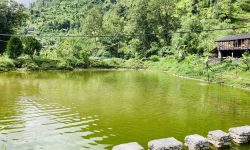 कृषिमा रमाउँदै लाहुरे गुरुङ