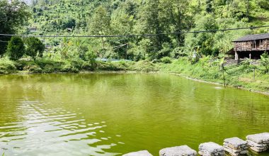 कृषिमा रमाउँदै लाहुरे गुरुङ