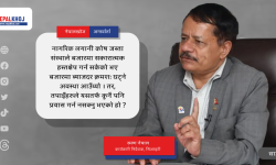 ठूला भौतिक पूर्वाधारमा लगानी गर्न हामी तत्पर छौँ : रमण नेपाल