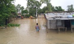 भजनी र टीकापुरमा डुबान, दीर्घकालीन समाधानको खोजी