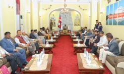 संंविधानको जिम्मेवारी कसरी पूरा गर्न सकिन्छ भन्नेमा सधैँ चिन्तित छु : राष्ट्रपति