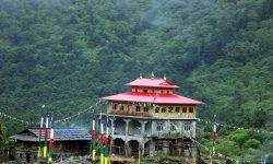 सहयोग सङ्कलन गरेर तोक्पेगोलामा गुम्बा निर्माण