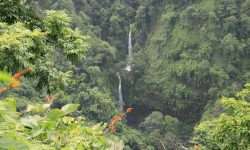 ओझेलमा चितवनको गौरीखोला झरना