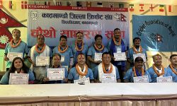 काठमाडौं जिल्ला क्रिकेट संघको अध्यक्षमा दिवाकर घले, पारस पनि सदस्यीय कार्यसमितिमा