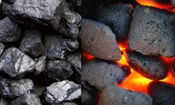 भारतले आवश्यकताभन्दा बढी कोइला उर्जाको विकास गर्दै