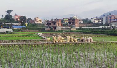  नियममा लचकता ल्याउँदै खुलाइयो जग्गा कित्ताकाटः  सरकार बाध्य, व्यवसायी उत्साहित