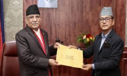 RPP submits memo in protest of slaughtering of cow