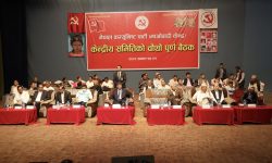 अध्यक्ष दाहालको प्रस्तावमाथि १८ नेताले राखे धारणा, ४०९ सदस्यीय केन्द्रीय समिति प्रस्ताव