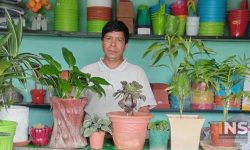 निरन्तरको संघर्षपछि सफल बनेका रोहित, टनेल नसर्रीबाटै मासिक २ लाख कमाइ