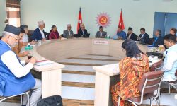 एमालेका केन्द्रीय विभागमा जिम्मेवारी हेरफेर