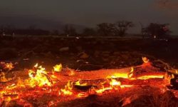 हवाई टापुको डढेलोमा उनान्सय जनाले ज्यान गुमाए