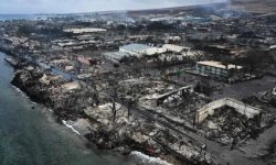 हवाई डढेलोमा एक सय एघारको मृत्यु, माउईका आपत्कालीन सेवा प्रमुखको राजीनामा