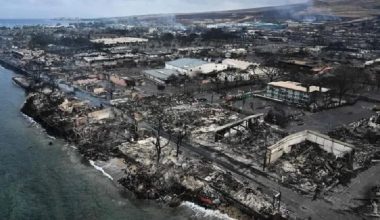 हवाई डढेलोमा एक सय एघारको मृत्यु, माउईका आपत्कालीन सेवा प्रमुखको राजीनामा