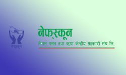 छुट्टै वित्तीय सहकारी ऐन ल्याउन माग