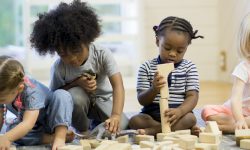 बाल्यअवस्थामा कार्यकारी सीप