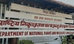 निकुञ्ज विभागमा एक वर्षमा केके काम भए