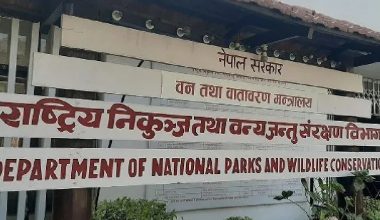 निकुञ्ज विभागमा एक वर्षमा केके काम भए