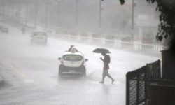 वर्षायाममा यी कुरामा ख्याल गरौं