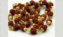 काम अनुरुप रुद्राक्ष !