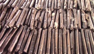 कम्बोडियाको विद्यालयभित्र दुई हजारभन्दा बढी विष्फोटक पदार्थ फेला