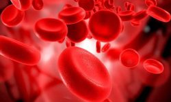 सजगतामा कमि भयो भने आँखाले पनि देख्दैन