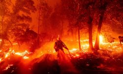 डेढेलोले हवाई, क्यानडा र स्पेनी टापुमा अकल्पनीय क्षति