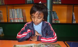 लीनाको काम : एक वर्षमा नौ सय पुस्तक अध्ययन