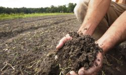 राष्ट्रिय भू–संरक्षण दिवस आज