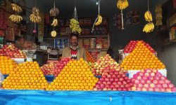 फलफूल व्यवसायी समस्यामा