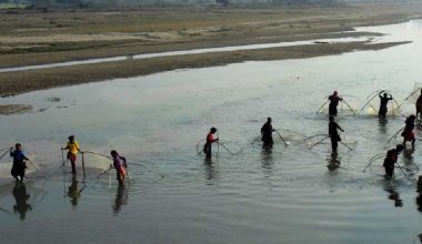 एक सय ९२ जनालाई राप्ती र नारायणी नदीमा माछा मार्न अनुमति