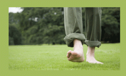 फिटनेस : घाँसमा हिड्नुका फाइदा